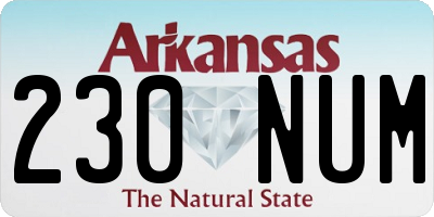AR license plate 230NUM