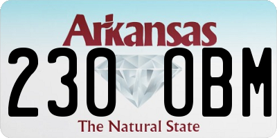 AR license plate 230OBM