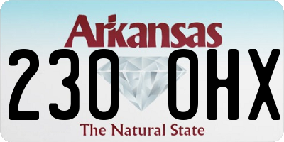 AR license plate 230OHX