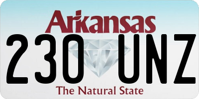 AR license plate 230UNZ