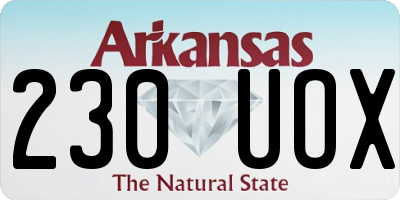 AR license plate 230UOX