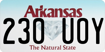 AR license plate 230UOY
