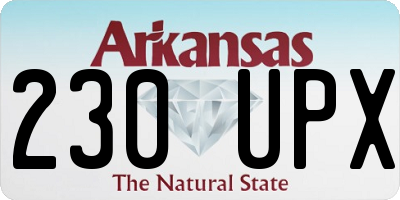 AR license plate 230UPX
