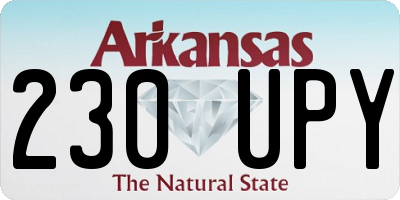 AR license plate 230UPY