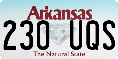 AR license plate 230UQS
