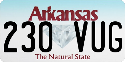 AR license plate 230VUG