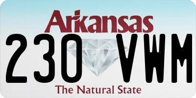 AR license plate 230VWM