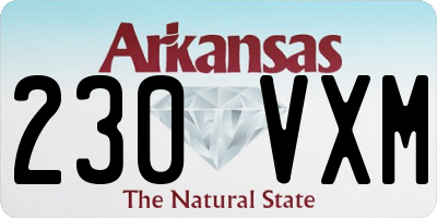 AR license plate 230VXM