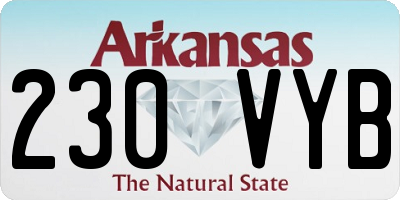 AR license plate 230VYB