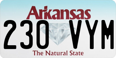 AR license plate 230VYM