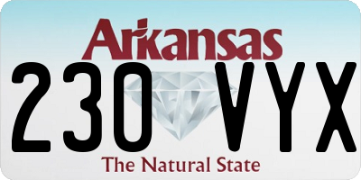 AR license plate 230VYX