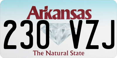 AR license plate 230VZJ