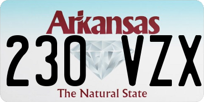 AR license plate 230VZX