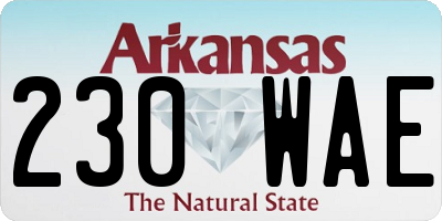 AR license plate 230WAE
