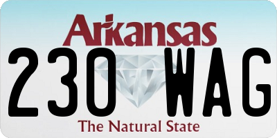 AR license plate 230WAG