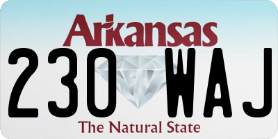 AR license plate 230WAJ