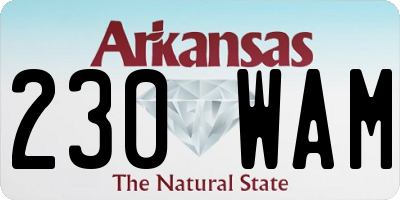 AR license plate 230WAM