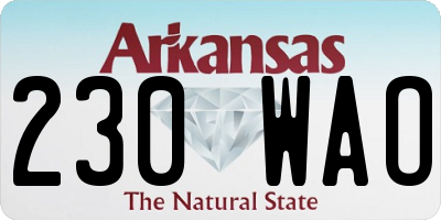 AR license plate 230WAO