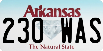 AR license plate 230WAS