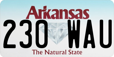 AR license plate 230WAU