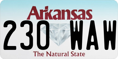 AR license plate 230WAW