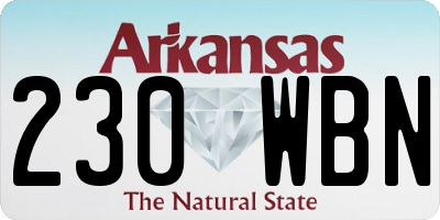 AR license plate 230WBN