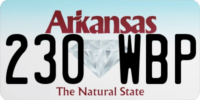 AR license plate 230WBP