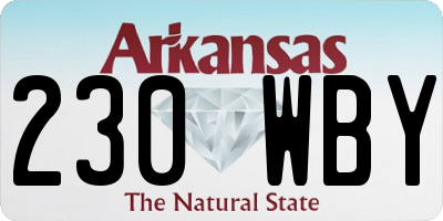AR license plate 230WBY