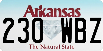 AR license plate 230WBZ