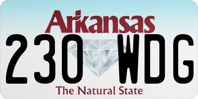 AR license plate 230WDG