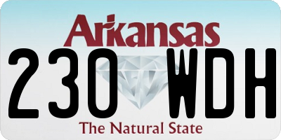 AR license plate 230WDH