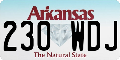 AR license plate 230WDJ
