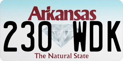 AR license plate 230WDK