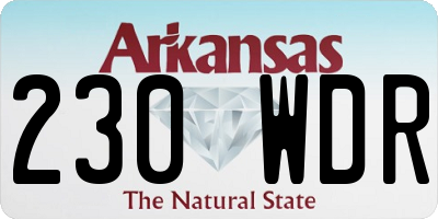 AR license plate 230WDR