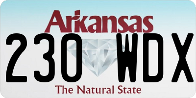 AR license plate 230WDX