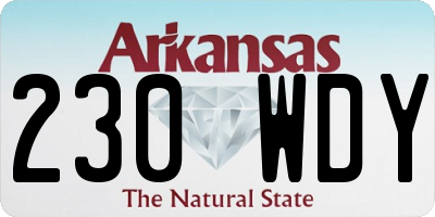 AR license plate 230WDY