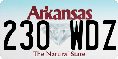 AR license plate 230WDZ