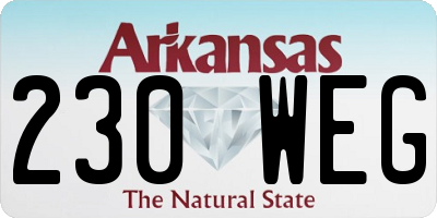 AR license plate 230WEG