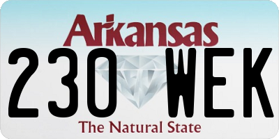 AR license plate 230WEK