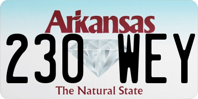 AR license plate 230WEY
