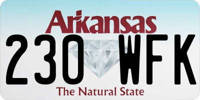 AR license plate 230WFK