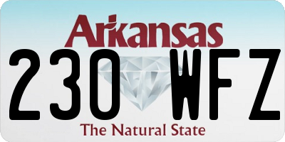AR license plate 230WFZ