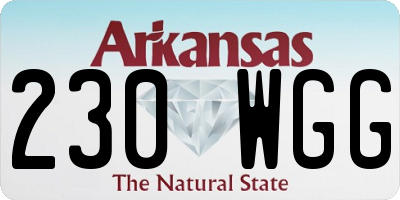AR license plate 230WGG