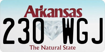 AR license plate 230WGJ