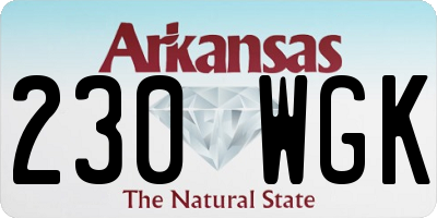 AR license plate 230WGK