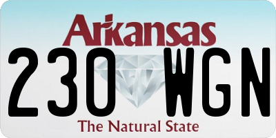 AR license plate 230WGN