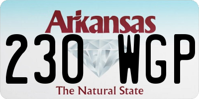 AR license plate 230WGP