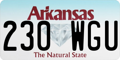 AR license plate 230WGU