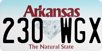 AR license plate 230WGX