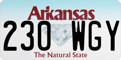 AR license plate 230WGY